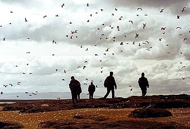 June 14, 1982: The Day the Falklands war ended