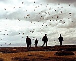 June 14, 1982: The Day the Falklands war ended