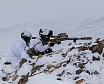 Greenland Shift: Pentagon moves to redefine U.S. Arctic Command as Trump eyes strategic Danish territory