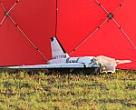 Europe Plans a ‘Drone Wall’ to Strengthen NATO’s Eastern Flank