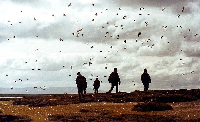 Falklands_1982